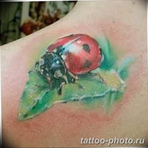 фото идея тату божья коровка 22.12.2018 №005 - photo ladybug tattool- tattoo-photo.ru