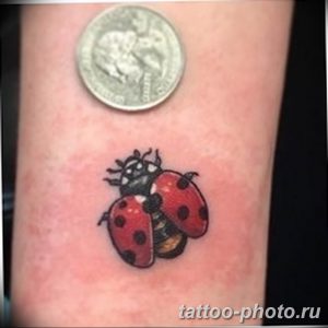 фото идея тату божья коровка 22.12.2018 №006 - photo ladybug tattool- tattoo-photo.ru