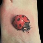 фото идея тату божья коровка 22.12.2018 №007 - photo ladybug tattool- tattoo-photo.ru