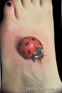 фото идея тату божья коровка 22.12.2018 №007 - photo ladybug tattool- tattoo-photo.ru