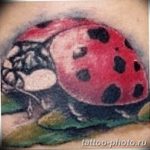 фото идея тату божья коровка 22.12.2018 №008 - photo ladybug tattool- tattoo-photo.ru