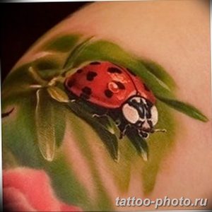 фото идея тату божья коровка 22.12.2018 №010 - photo ladybug tattool- tattoo-photo.ru