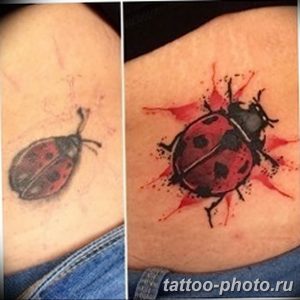 фото идея тату божья коровка 22.12.2018 №017 - photo ladybug tattool- tattoo-photo.ru