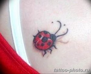 фото идея тату божья коровка 22.12.2018 №018 - photo ladybug tattool- tattoo-photo.ru