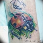 фото идея тату божья коровка 22.12.2018 №019 - photo ladybug tattool- tattoo-photo.ru