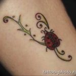 фото идея тату божья коровка 22.12.2018 №020 - photo ladybug tattool- tattoo-photo.ru
