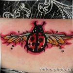 фото идея тату божья коровка 22.12.2018 №022 - photo ladybug tattool- tattoo-photo.ru