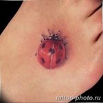 фото идея тату божья коровка 22.12.2018 №024 - photo ladybug tattool- tattoo-photo.ru