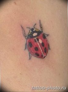фото идея тату божья коровка 22.12.2018 №025 - photo ladybug tattool- tattoo-photo.ru