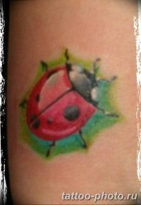 фото идея тату божья коровка 22.12.2018 №026 - photo ladybug tattool- tattoo-photo.ru