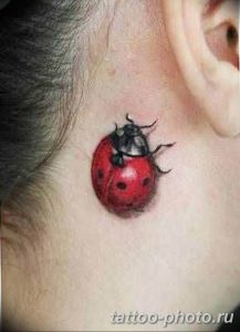 фото идея тату божья коровка 22.12.2018 №027 - photo ladybug tattool- tattoo-photo.ru