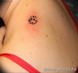 фото идея тату божья коровка 22.12.2018 №029 - photo ladybug tattool- tattoo-photo.ru