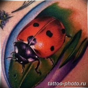 фото идея тату божья коровка 22.12.2018 №030 - photo ladybug tattool- tattoo-photo.ru