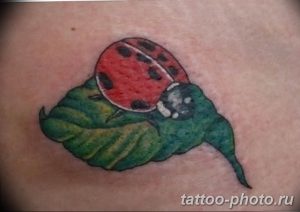 фото идея тату божья коровка 22.12.2018 №033 - photo ladybug tattool- tattoo-photo.ru