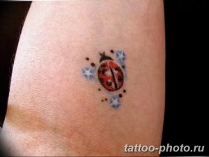 фото идея тату божья коровка 22.12.2018 №034 - photo ladybug tattool- tattoo-photo.ru