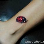фото идея тату божья коровка 22.12.2018 №035 - photo ladybug tattool- tattoo-photo.ru