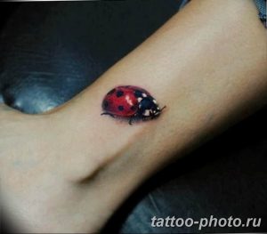 фото идея тату божья коровка 22.12.2018 №035 - photo ladybug tattool- tattoo-photo.ru