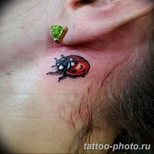 фото идея тату божья коровка 22.12.2018 №038 - photo ladybug tattool- tattoo-photo.ru
