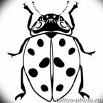 фото идея тату божья коровка 22.12.2018 №039 - photo ladybug tattool- tattoo-photo.ru