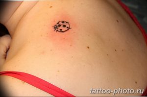 фото идея тату божья коровка 22.12.2018 №040 - photo ladybug tattool- tattoo-photo.ru