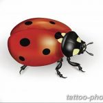 фото идея тату божья коровка 22.12.2018 №042 - photo ladybug tattool- tattoo-photo.ru