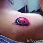 фото идея тату божья коровка 22.12.2018 №044 - photo ladybug tattool- tattoo-photo.ru