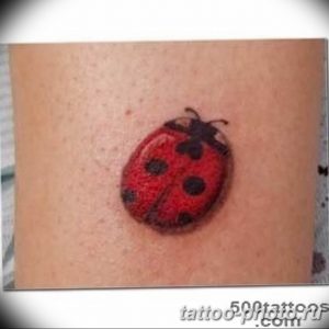 фото идея тату божья коровка 22.12.2018 №045 - photo ladybug tattool- tattoo-photo.ru