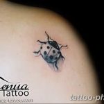 фото идея тату божья коровка 22.12.2018 №052 - photo ladybug tattool- tattoo-photo.ru