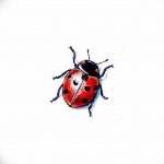 фото идея тату божья коровка 22.12.2018 №056 - photo ladybug tattool- tattoo-photo.ru
