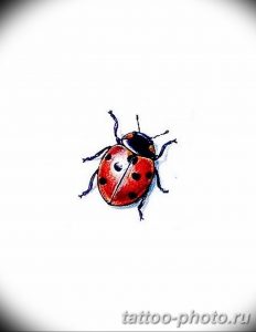 фото идея тату божья коровка 22.12.2018 №056 - photo ladybug tattool- tattoo-photo.ru