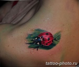 фото идея тату божья коровка 22.12.2018 №057 - photo ladybug tattool- tattoo-photo.ru