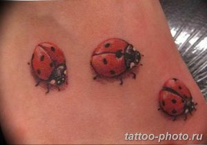 фото идея тату божья коровка 22.12.2018 №058 - photo ladybug tattool- tattoo-photo.ru