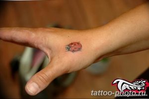 фото идея тату божья коровка 22.12.2018 №060 - photo ladybug tattool- tattoo-photo.ru
