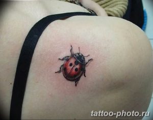 фото идея тату божья коровка 22.12.2018 №061 - photo ladybug tattool- tattoo-photo.ru