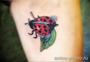 фото идея тату божья коровка 22.12.2018 №062 - photo ladybug tattool- tattoo-photo.ru