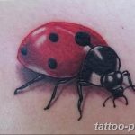 фото идея тату божья коровка 22.12.2018 №066 - photo ladybug tattool- tattoo-photo.ru