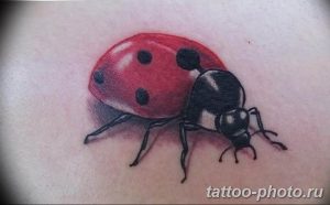 фото идея тату божья коровка 22.12.2018 №066 - photo ladybug tattool- tattoo-photo.ru