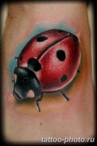 фото идея тату божья коровка 22.12.2018 №067 - photo ladybug tattool- tattoo-photo.ru