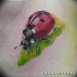 фото идея тату божья коровка 22.12.2018 №071 - photo ladybug tattool- tattoo-photo.ru