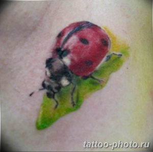фото идея тату божья коровка 22.12.2018 №071 - photo ladybug tattool- tattoo-photo.ru
