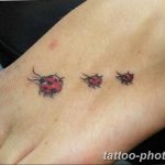 фото идея тату божья коровка 22.12.2018 №072 - photo ladybug tattool- tattoo-photo.ru