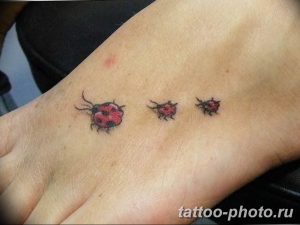 фото идея тату божья коровка 22.12.2018 №072 - photo ladybug tattool- tattoo-photo.ru