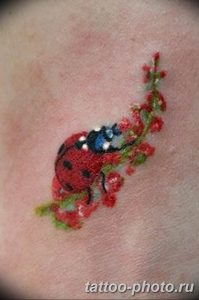 фото идея тату божья коровка 22.12.2018 №073 - photo ladybug tattool- tattoo-photo.ru