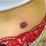 фото идея тату божья коровка 22.12.2018 №075 - photo ladybug tattool- tattoo-photo.ru