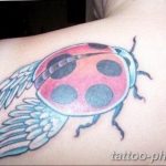 фото идея тату божья коровка 22.12.2018 №076 - photo ladybug tattool- tattoo-photo.ru