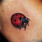 фото идея тату божья коровка 22.12.2018 №085 - photo ladybug tattool- tattoo-photo.ru