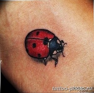 фото идея тату божья коровка 22.12.2018 №085 - photo ladybug tattool- tattoo-photo.ru