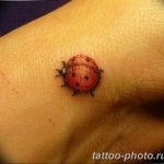 фото идея тату божья коровка 22.12.2018 №087 - photo ladybug tattool- tattoo-photo.ru