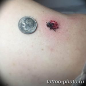 фото идея тату божья коровка 22.12.2018 №088 - photo ladybug tattool- tattoo-photo.ru