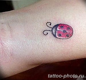 фото идея тату божья коровка 22.12.2018 №089 - photo ladybug tattool- tattoo-photo.ru